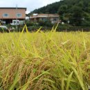 화천농장 이미지