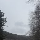 그린다목장 | 겨울 국내 여행 평창 대관령 모나용평 [애니포레] 모노레일