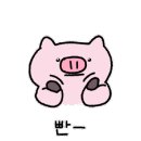 치앙마이스파 이미지