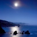 월광(Moon Light) Daum카페