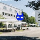 우리시 브랜드 조형 | [일본미대] 2025년 도쿄조형대학 &amp; 여자미술대학(죠시비) 오픈캠퍼스 참가 후기
