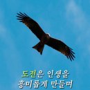 물소리바람소리 이미지