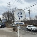 평강유치원 | [포천여행]아기랑 당일치기 여행_포천가볼만한곳_마이애니멀스토리_산비탈손두부_사르르목장_해마루딸기...