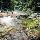 N산림복지바우처