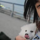 청호 갯배 이미지