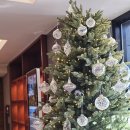 오리엔스 호텔 앤 레지던스 | 오리엔스 호텔&amp;레지던스 프리미어 더블룸 이용 후기 [서울 호텔 추천/충무로역 호텔/명동 근처 호텔]