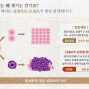 일산중심재활병원 이미지