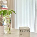 코스텔 | 비타민E크림 탄력크림으로도 좋은 코스텔지아 후기