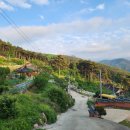 솔방민박 이미지