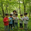 송파구 도란도란생태길 | [공지] 수원 광교산 어린이 숲체험 환경성질환아토피센터 수풀생태학교 1회차 후기 (가격, 준비물)