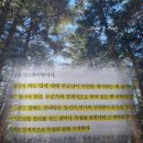 장애 자녀의 자립을 위한 부모의 마음가짐과 긍정적 행동지원 | 렛뎀이론 책 | 멜 로빈스 책 후기 | 전세금 보태주면 집에도 자주 가도 되지 추천 리뷰 핵심 요약