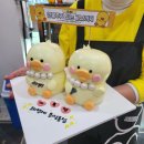 회성동297 이미지