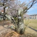 성송초등학교 이미지