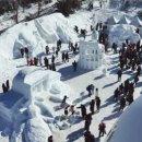 태백산목장 이미지