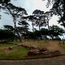 모항해수욕장 이미지