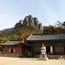 이동농협삼거리 이미지