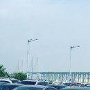 대하사