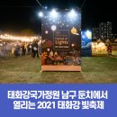 2021 태화강 빛 축제 이미지