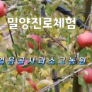 미리벌로3길 이미지