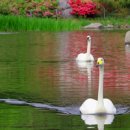 렉스필드 컨트리클럽 이미지