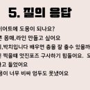 댄스스포츠 초급과정 이미지