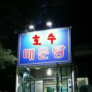 천안 성성동맛집 호수매운탕 어죽 다녀왔어요