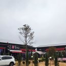 벚꽃길 한우