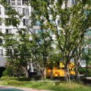 내자약국 이미지