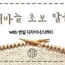 연일장식