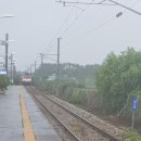 대전 중앙시장 전라도집,, 이미지