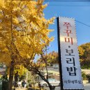 만의골 보리밥집 | 인천대공원 맛집 만의골 사월에밥상 후기