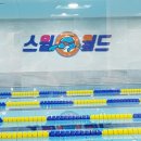 스윔월드 이미지