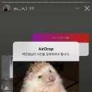 유나 당구 이미지