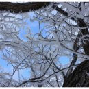 천하촌펜션 이미지