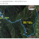 한솔매운탕 | 비슬산 참꽃 만개 했어요! 실시간 안내(4/17일 업데이트)