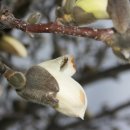 미하가든 이미지