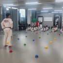 타이거 킥스 태권도장 이미지