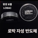(주)반도체로박 네이버블로그