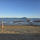 보성 율포해수욕장 - 포행 465 이미지