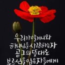 샬롬 - 유성구 엑스포로 488 | 샬롬