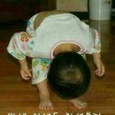 내고향 마차 이미지