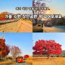 반달어린이공원 | 수원화성성곽길 장안문 수원공원 장안공원 단풍현황 화성어차