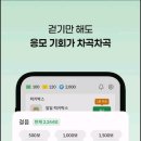 로또티켓