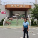 소싸움테마파크 이미지