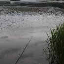 신동지낚시터 이미지