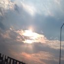 (주)경인미트 | 국가기술자격 양식 조리기능사 합격 후기 :: 실기시험 준비물/메뉴/문제