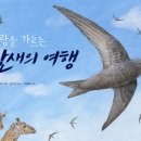 야탑초등학교 이미지