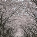 승월경로당 네이버블로그