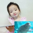 팡슈 - 6018 | 팡슈