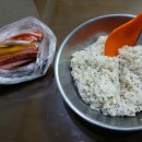 김밥과함께라면 이미지